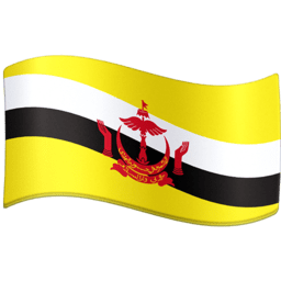 Brunei flag on Facebook