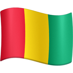 Guinea flag on Facebook