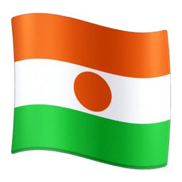 Niger flag on Facebook