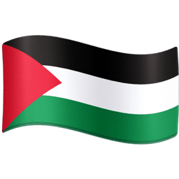 Palestine flag on Facebook