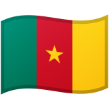 Cameroon flag on Google/Android devices