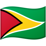 Guyana flag on Google/Android devices