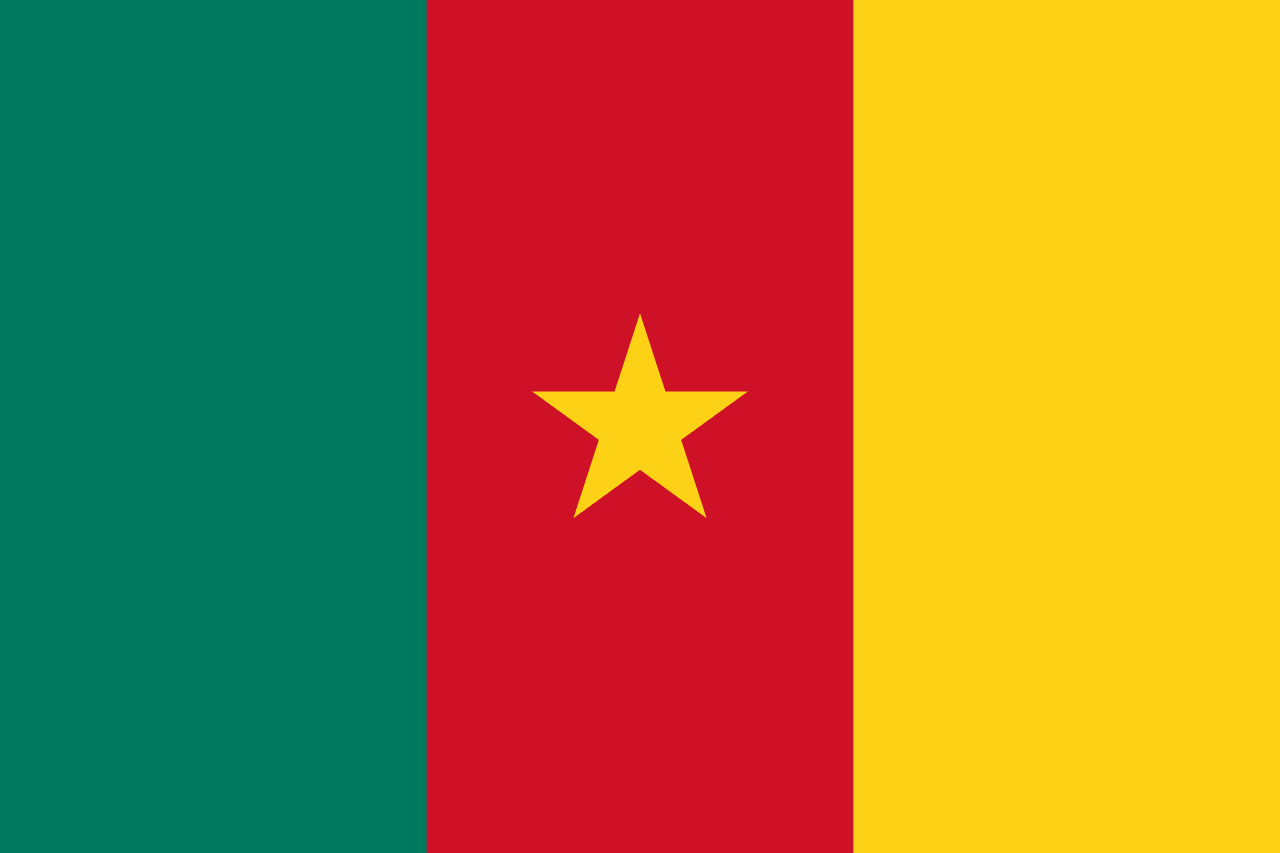 Flag of Cameroon